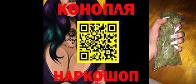 сатива Кингисепп