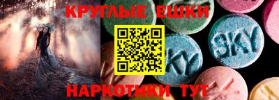 сатива Кингисепп