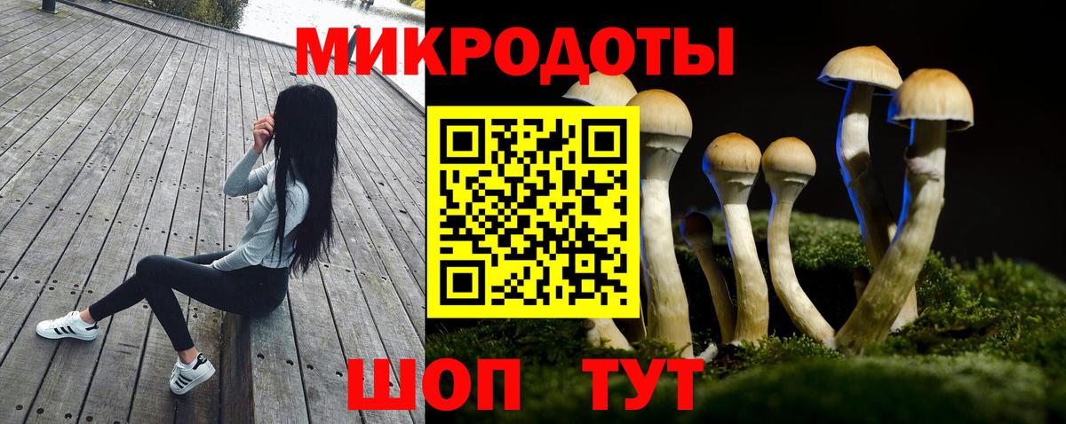 Галлюциногенные грибы Psilocybine cubensis  Вход с VPN  Крымск  Галлюциногенные грибы Psilocybine cubensis 